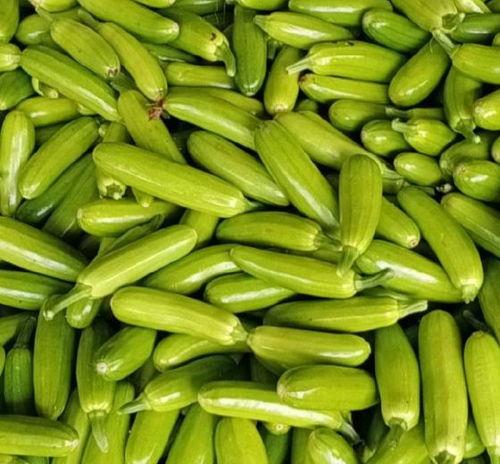 山东今日茭瓜价格行情,今日市场动态一览