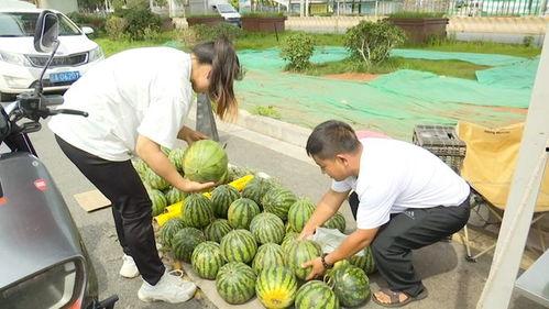 黑料吃瓜总站骗局,一场精心策划的骗局大曝光