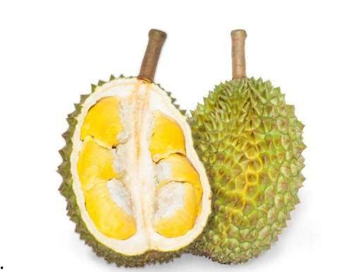 糖尿病吃黑蜜瓜吗好吗,糖尿病人群食用黑蜜瓜的适宜性探讨