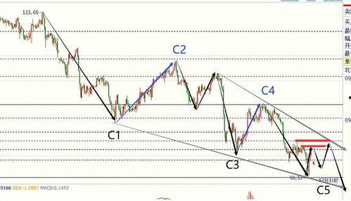 今日云南秋瓜行情走势分析,丰收与市场的双重考验