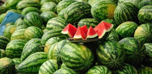 恩施热门来凤大瓜,恩施热门事件背后的真相揭秘