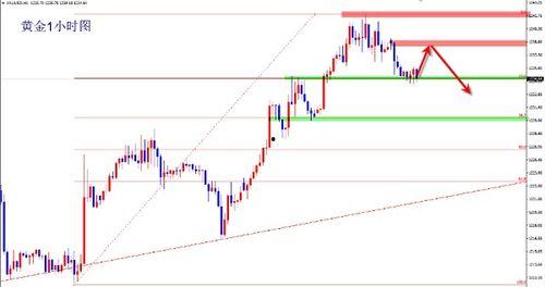 角瓜今日价格行情走势,今日行情走势解析