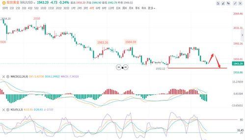 角瓜今日价格行情走势,今日行情走势解析