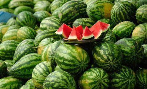 今日小井瓜价格表最新,最新市场行情一览