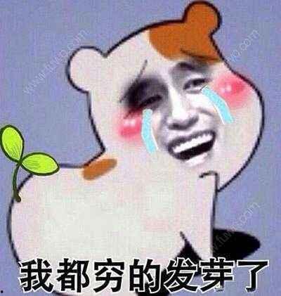 形容吃瓜老黑的句子,揭秘他的独特饮食世界