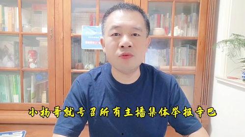 疯狂小杨哥今日大瓜,揭秘娱乐圈最新热点事件