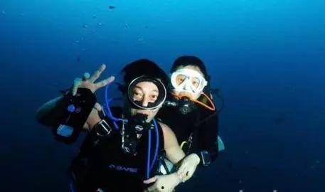 大批明星网红潜水了吗,大批明星网红纷纷下水探险