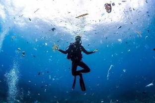 大批明星网红潜水了吗,大批明星网红纷纷下水探险