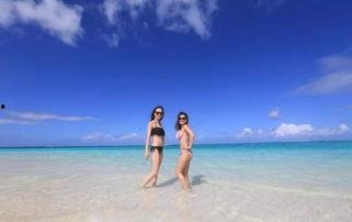 大批明星网红潜水了吗,大批明星网红纷纷下水探险