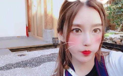 上海有哪些明星网红,上海明星网红风采掠影