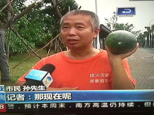 真实吃瓜热门事件是什么,真相与谣言的较量