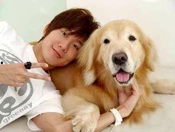 明星网红养的狗,萌宠界的明星效应