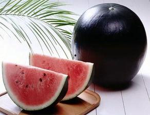 吃的黑西瓜子是什么瓜