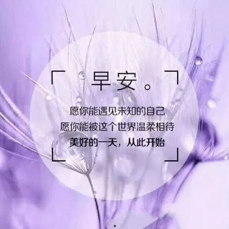 今日摘瓜文案句子图片唯美,唯美摘瓜瞬间