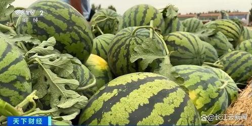 吃瓜最新热门,揭秘最新热门吃瓜事件背后的真相