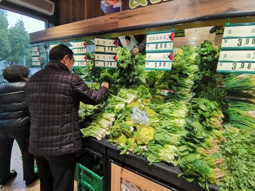 万邦吊瓜今日价格,市场行情一览