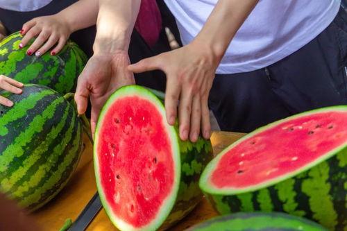 长春今日吃瓜新闻视频最新,揭秘今日热门街头八卦事件