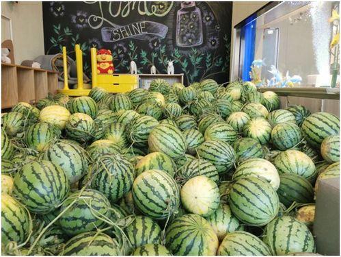 长春今日吃瓜新闻视频最新,揭秘今日热门街头八卦事件