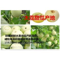 今日阎良甜官瓜价格,甜蜜来袭，价格波动解析”