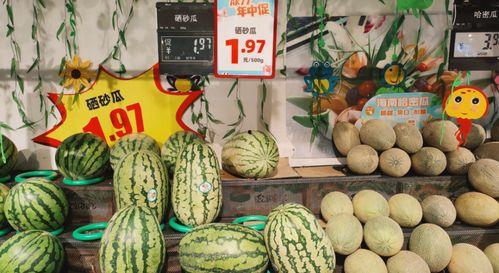 瓢瓜今日价格行情最新,涨跌波动，市场动态一览