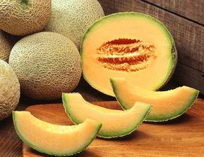 宁波哈密瓜价格今日价,新鲜上市，品质保证！”