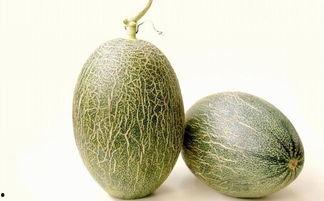 宁波哈密瓜价格今日价,新鲜上市，品质保证！”