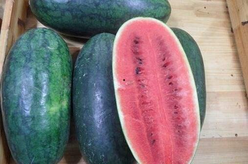 吃瓜黑料有哪些,吃瓜黑料背后的真相与反思