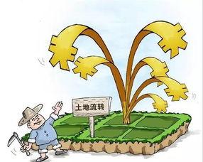 农民摘瓜的热门文案,农民丰收喜悦瞬间