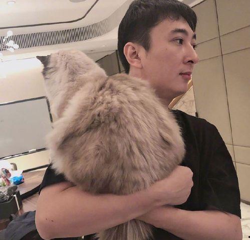 网红狗哥爆料吃瓜事件是真的吗,真相揭秘还是无端炒作？