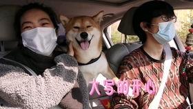 网红狗哥爆料吃瓜事件是真的吗,真相揭秘还是无端炒作？