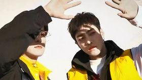 明星网红行为逻辑分析,从幕后到台前