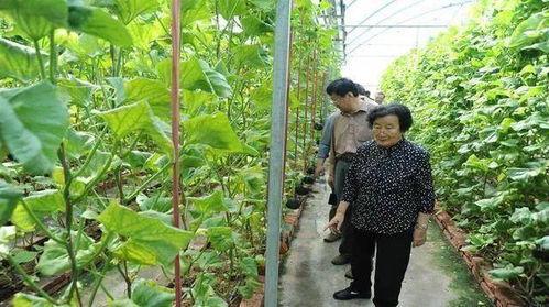 吃瓜黑料正能量爆料是真的吗,真相揭秘