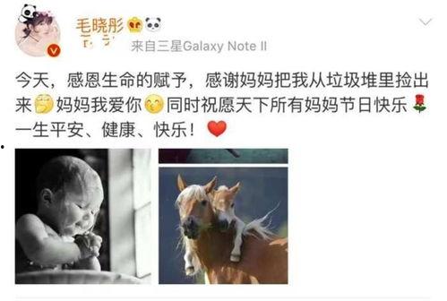 明星网红不借钱被杀,明星网红不借钱遭不幸，人性冷暖引人深思