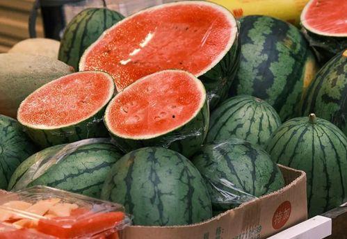 小喜瓜今日价格行情最新,今日市场动态一览”