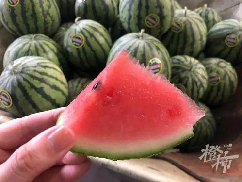 小喜瓜今日价格行情最新,今日市场动态一览”