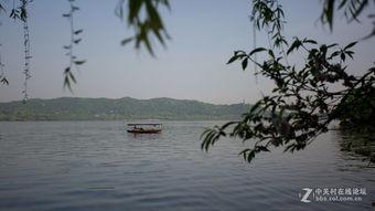 西子湖畔热门瓜,揭秘热门瓜背后的故事