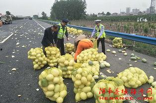 许昌吃瓜热门事件,揭秘网络热议背后的真相与反思