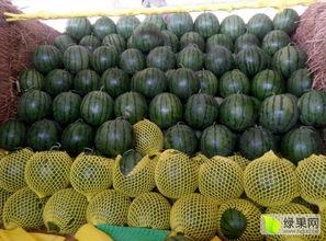 山东昌乐尧沟今日瓜价,瓜果飘香，价格走俏