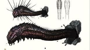 黑魂2吃瓜,吃瓜群众揭秘游戏背后的秘密与传说