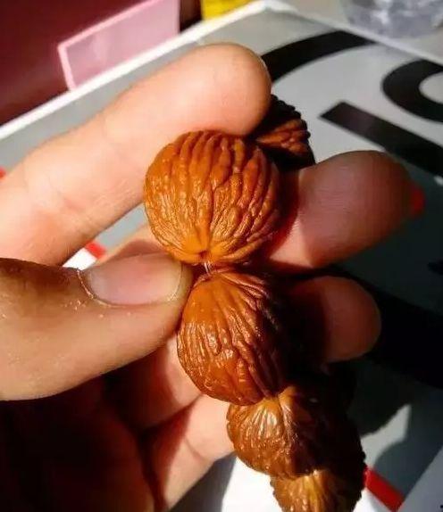 明星网红猴头手串,明星追捧的时尚潮流新宠