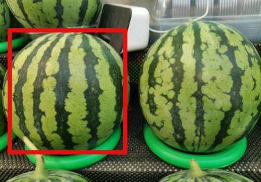 24年热门瓜事件,年度十大热门瓜揭秘