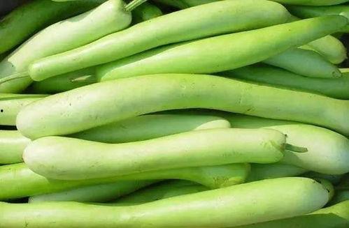 吃瓠子瓜会拉黑便吗,吃瓠子瓜引发黑便之谜