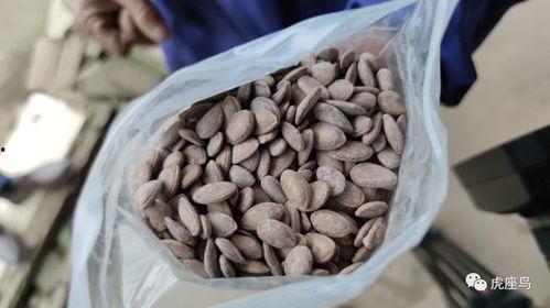 黑轩吃瓜,揭秘娱乐圈背后的那些事儿