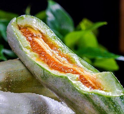 热门瓜品种介绍