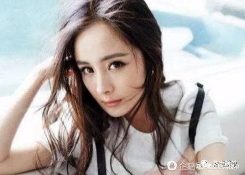 奢华明星网红排名,揭秘奢华明星网红的顶级排名