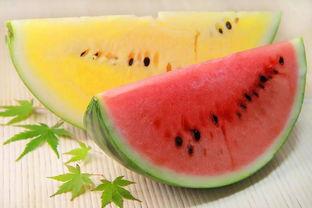 吃瓜在线吃瓜热门大瓜,热门大瓜背后的故事与真相