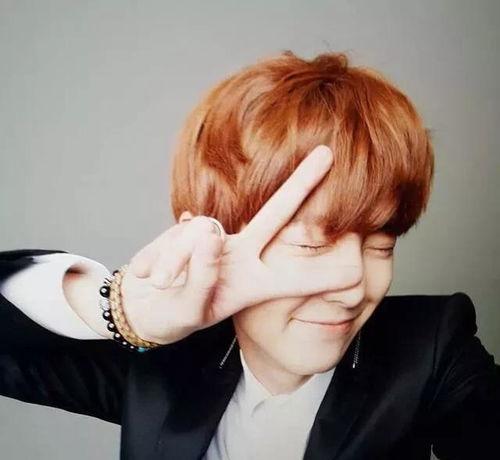 明星网红手绘头像男,明星网红手绘头像中的青春风采