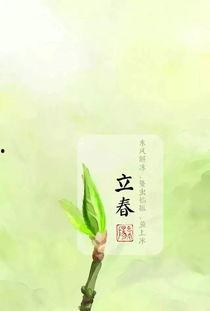 今日立春吃瓜视频图片,跟随视频探寻传统美食文化