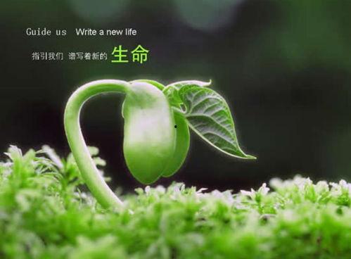 今日立春吃瓜视频图片,跟随视频探寻传统美食文化