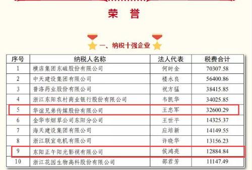 明星网红纳税额比例,财富与责任的平衡